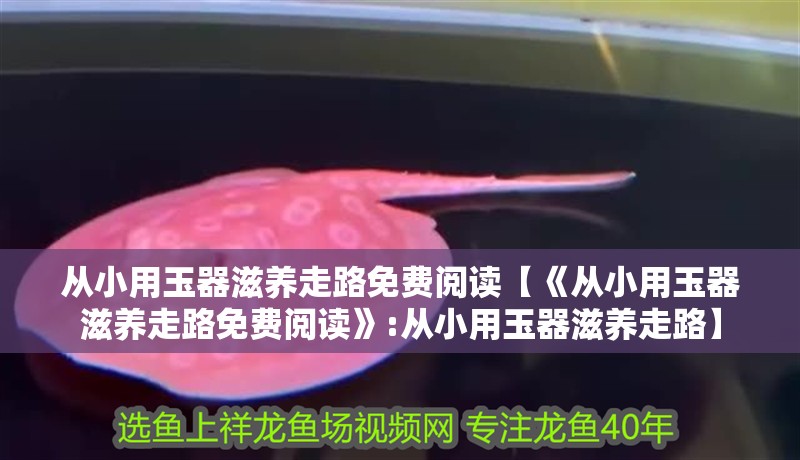 從小用玉器滋養走路免費閱讀【《從小用玉器滋養走路免費閱讀》:從小用玉器滋養走路】 龍魚論壇 從小用玉器滋養走路免費閱讀【《從小用玉器滋養走路免費閱讀》:從小用玉器滋養走路】 從小用玉器滋養走路免費閱讀【《從小用玉器滋養走路免費閱讀》:從小用玉器滋養走路】 龍魚論壇