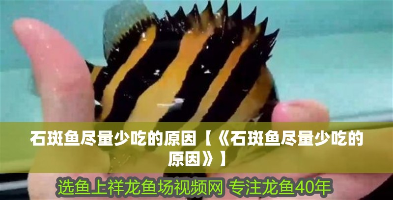 石斑魚盡量少吃的原因【《石斑魚盡量少吃的原因》】