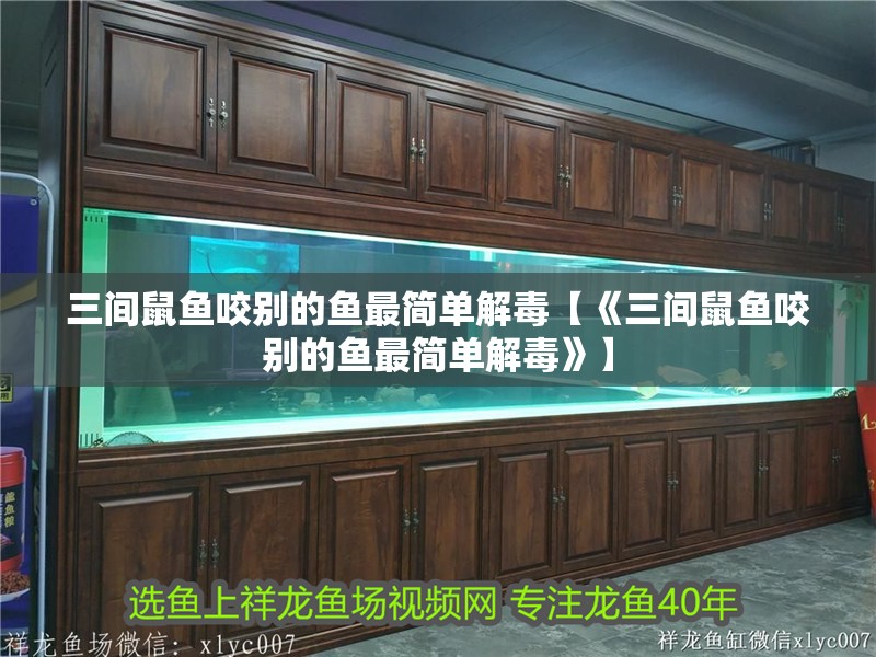 三間鼠魚咬別的魚最簡單解毒【《三間鼠魚咬別的魚最簡單解毒》】
