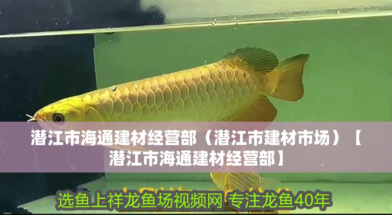 潛江市海通建材經營部（潛江市建材市場）【潛江市海通建材經營部】