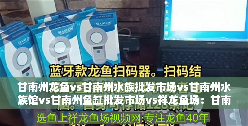 甘南州龍魚vs甘南州水族批發市場vs甘南州水族館vs甘南州魚缸批發市場vs祥龍魚場：甘南州水族批發市場