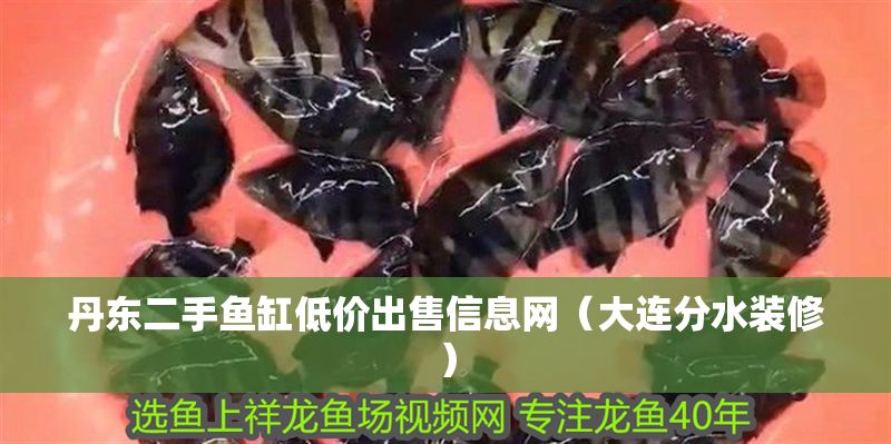 丹東二手魚缸低價出售信息網(wǎng)（大連分水裝修）