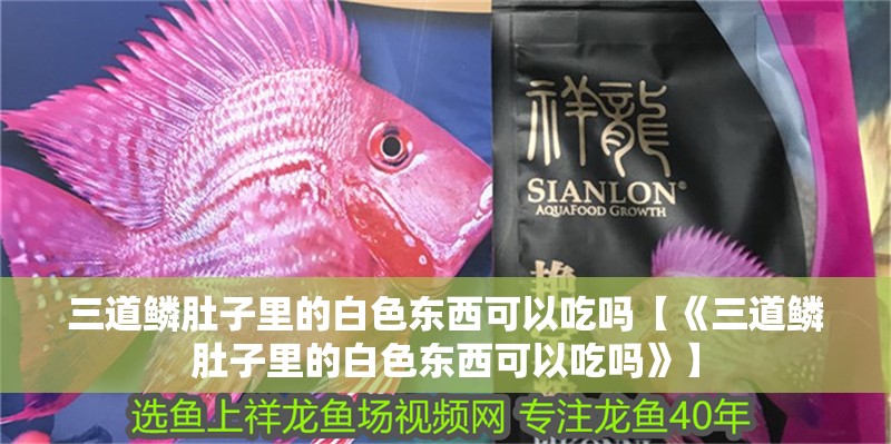 三道鱗肚子里的白色東西可以吃嗎【《三道鱗肚子里的白色東西可以吃嗎》】