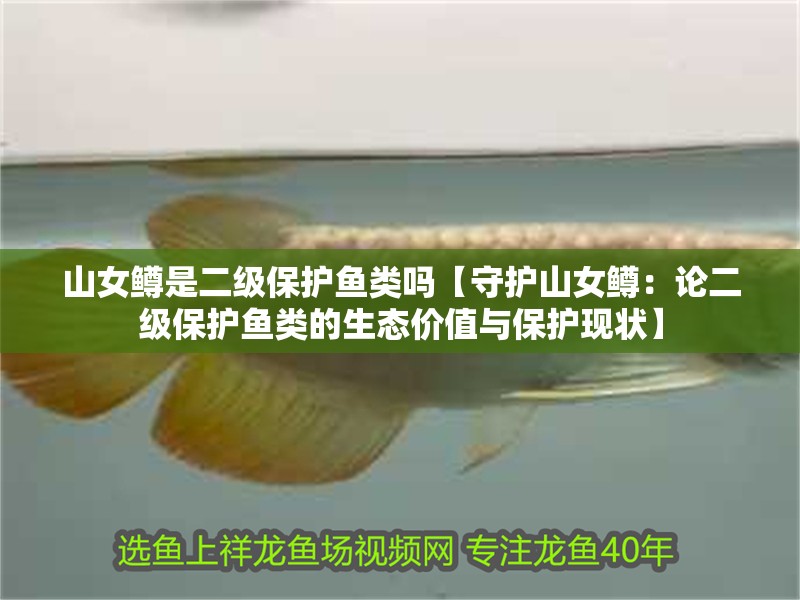 山女鱒是二級保護魚類嗎【守護山女鱒：論二級保護魚類的生態價值與保護現狀】 山女鱒是二級保護魚類嗎【守護山女鱒：論二級保護魚類的生態價值與保護現狀】 龍魚論壇