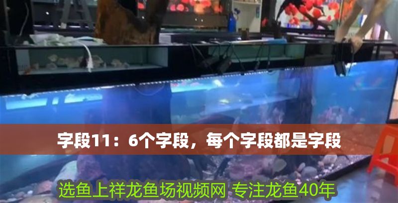 字段11：6個字段，每個字段都是字段