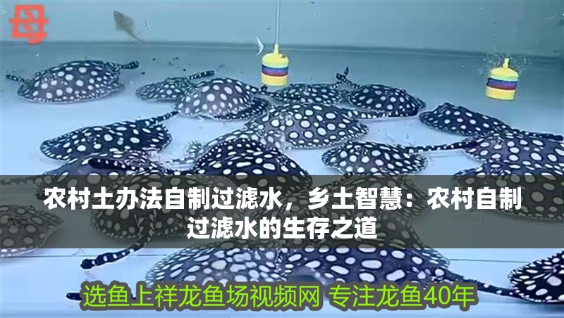 農村土辦法自制過濾水，鄉土智慧：農村自制過濾水的生存之道 農村土辦法自制過濾水，鄉土智慧：農村自制過濾水的生存之道 龍魚論壇