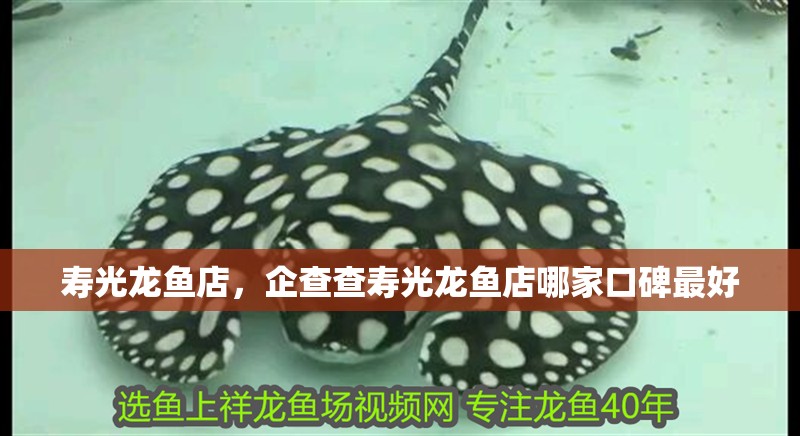 壽光龍魚店，企查查壽光龍魚店哪家口碑最好