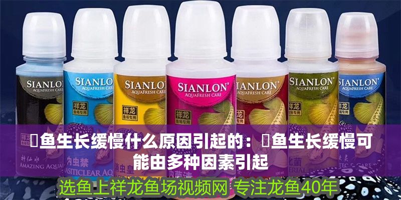 魟魚生長緩慢什么原因引起的：魟魚生長緩慢可能由多種因素引起