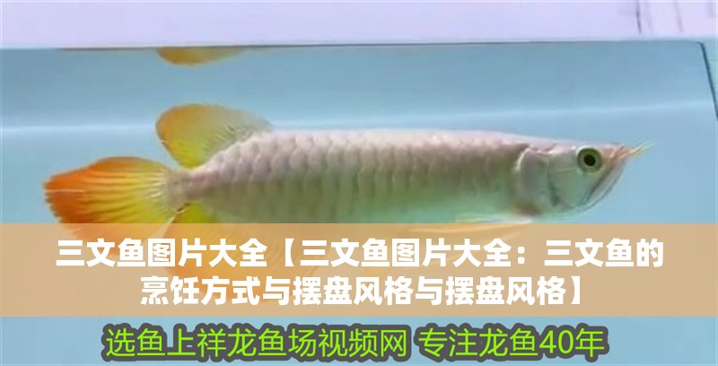 三文魚圖片大全【三文魚圖片大全：三文魚的烹飪方式與擺盤風格與擺盤風格】