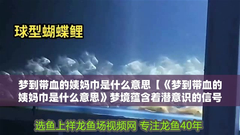 夢到帶血的姨媽巾是什么意思【《夢到帶血的姨媽巾是什么意思》夢境蘊含著潛意識的信號】