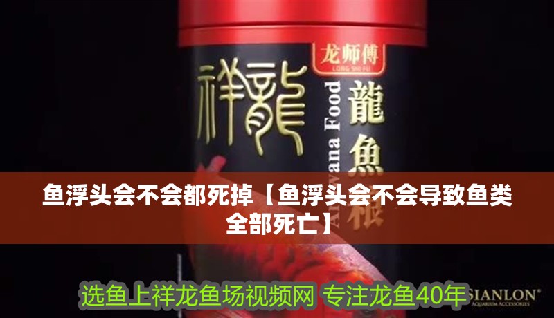 魚浮頭會不會都死掉【魚浮頭會不會導致魚類全部死亡】