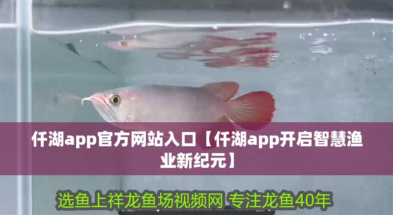 仟湖app官方網站入口【仟湖app開啟智慧漁業新紀元】