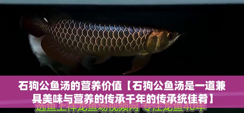 石狗公魚湯的營養價值【石狗公魚湯是一道兼具美味與營養的傳承千年的傳承統佳肴】 石狗公魚湯的營養價值【石狗公魚湯是一道兼具美味與營養的傳承千年的傳承統佳肴】 龍魚論壇