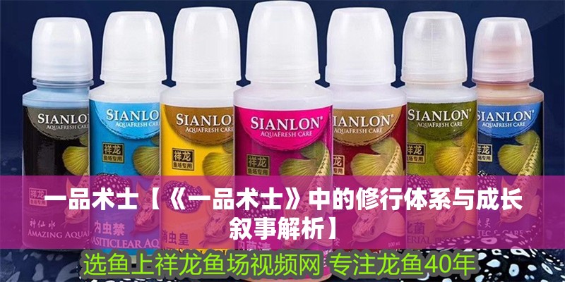 一品術士【《一品術士》中的修行體系與成長敘事解析】