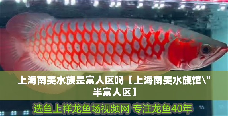 上<strong><mark>海南</mark></strong>美水族是富人區(qū)嗎【上<strong><mark>海南</mark></strong>美水族館\