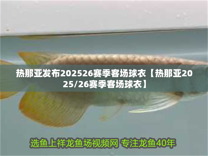 熱那亞發布202526賽季客場球衣【熱那亞2025/26賽季客場球衣】