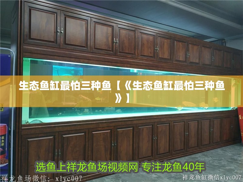 生態(tài)魚缸最怕三種魚【《生態(tài)魚缸最怕三種魚》】 生態(tài)魚缸最怕三種魚【《生態(tài)魚缸最怕三種魚》】 龍魚論壇