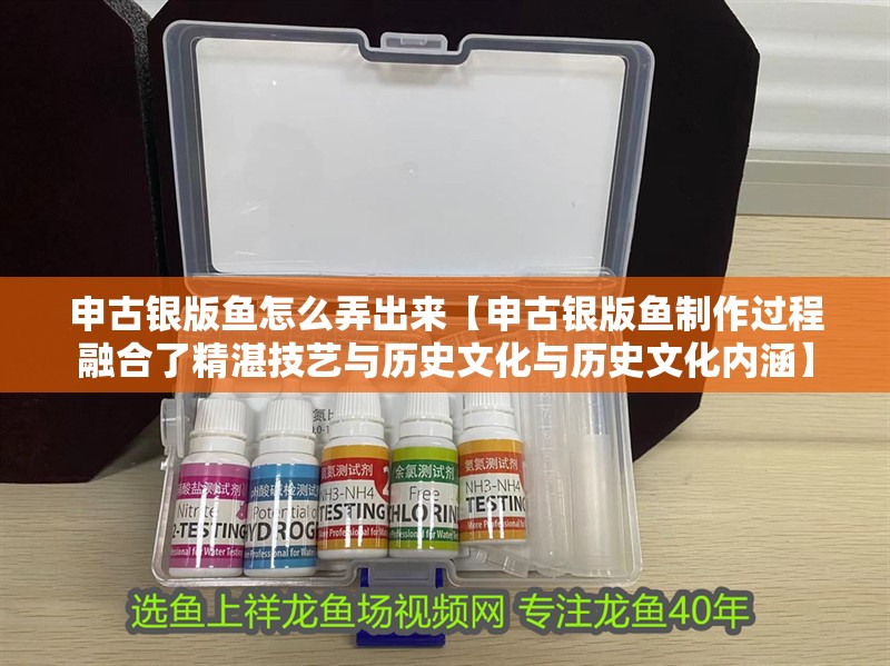 申古銀版魚怎么弄出來【申古銀版魚制作過程融合了精湛技藝與歷史文化與歷史文化內涵】