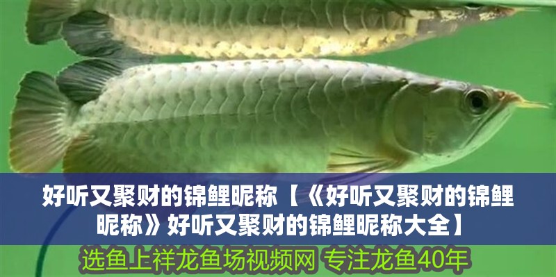 好聽又聚財的錦鯉昵稱【《好聽又聚財的錦鯉昵稱》好聽又聚財的錦鯉昵稱大全】 好聽又聚財的錦鯉昵稱【《好聽又聚財的錦鯉昵稱》好聽又聚財的錦鯉昵稱大全】 全國水族館企業名錄