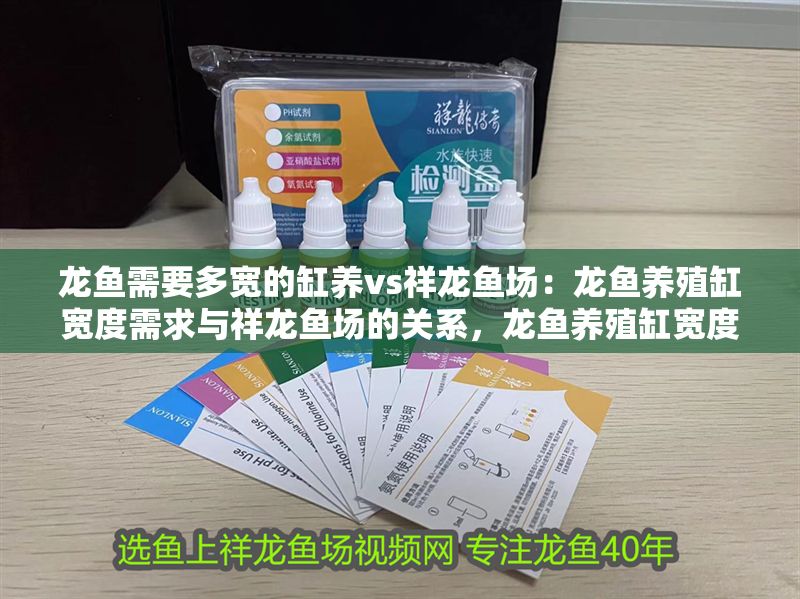 龍魚需要多寬的缸養vs祥龍魚場：龍魚養殖缸寬度需求與祥龍魚場的關系，龍魚養殖缸寬度需求 龍魚需要多寬的缸養vs祥龍魚場：龍魚養殖缸寬度需求與祥龍魚場的關系，龍魚養殖缸寬度需求 vs祥龍魚場 第2張