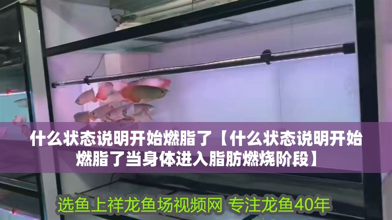 什么狀態說明開始燃脂了【什么狀態說明開始燃脂了當身體進入脂肪燃燒階段】