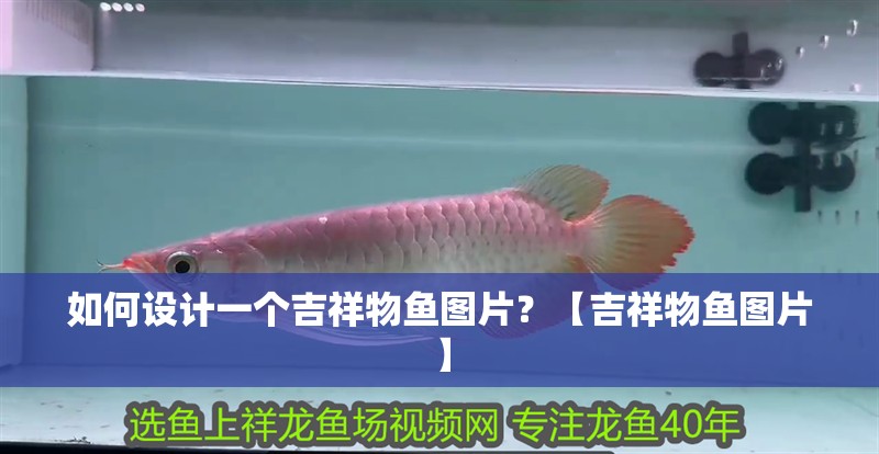 如何設計一個吉祥物魚圖片？【吉祥物魚圖片】