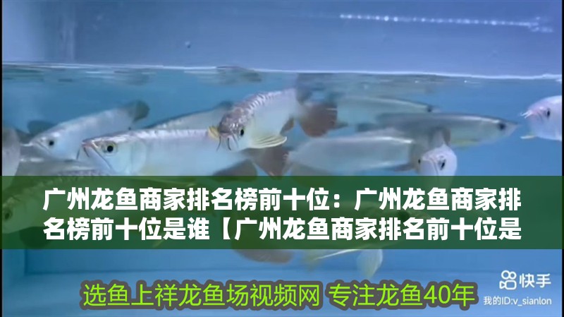 廣州龍魚商家排名榜前十位：廣州龍魚商家排名榜前十位是誰【廣州龍魚商家排名前十位是如何評選出來的，廣州龍魚商家排名前十】