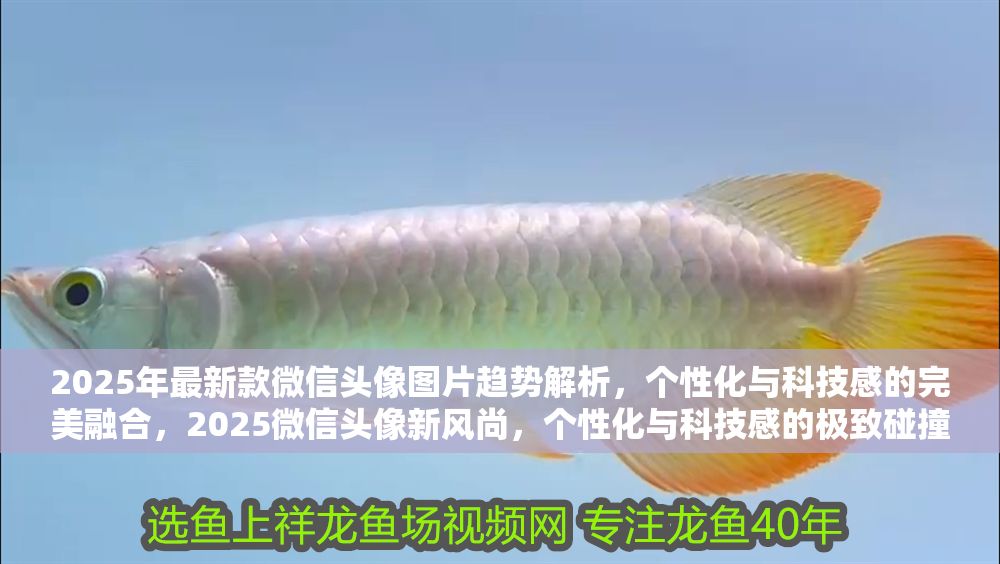 2025年最新款微信頭像圖片趨勢解析，個性化與科技感的完美融合，2025微信頭像新風尚，個性化與科技感的極致碰撞