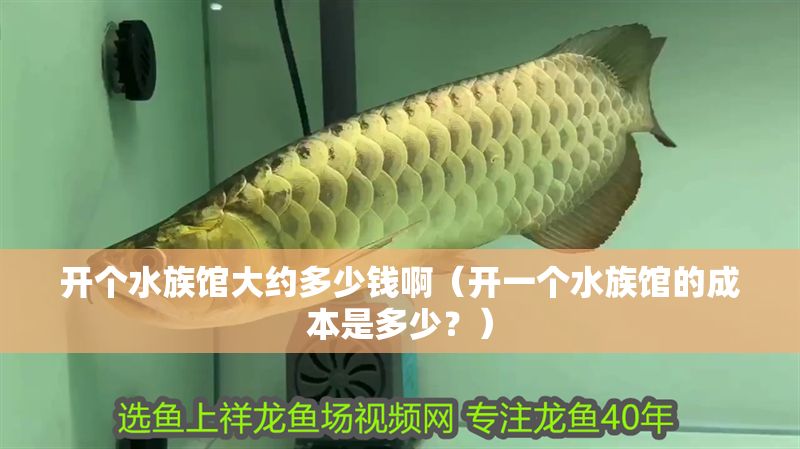 開個水族館大約多少錢啊（開一個水族館的成本是多少？）