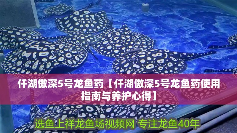 仟湖傲深5號龍魚藥【仟湖傲深5號龍魚藥使用指南與養(yǎng)護(hù)心得】 仟湖傲深5號龍魚藥【仟湖傲深5號龍魚藥使用指南與養(yǎng)護(hù)心得】 龍魚論壇