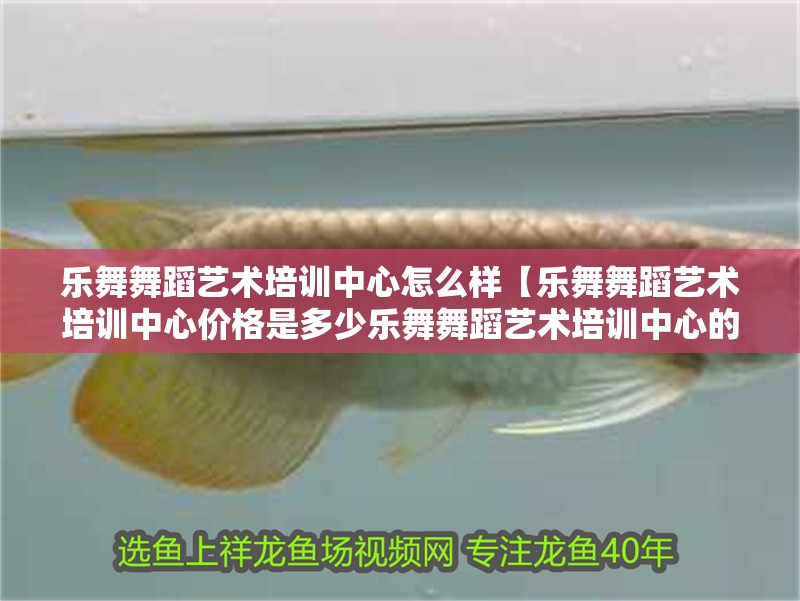 樂舞舞蹈藝術(shù)培訓(xùn)中心怎么樣【樂舞舞蹈藝術(shù)培訓(xùn)中心價格是多少樂舞舞蹈藝術(shù)培訓(xùn)中心的位置在哪】