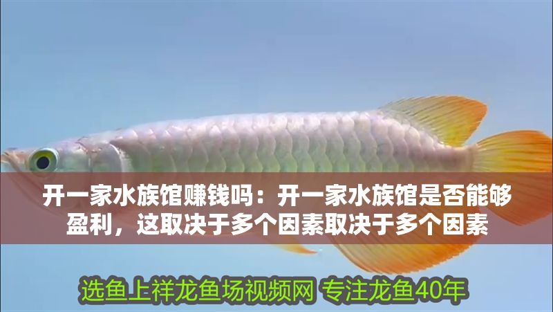 開一家水族館賺錢嗎：開一家水族館是否能夠盈利，這取決于多個(gè)因素取決于多個(gè)因素