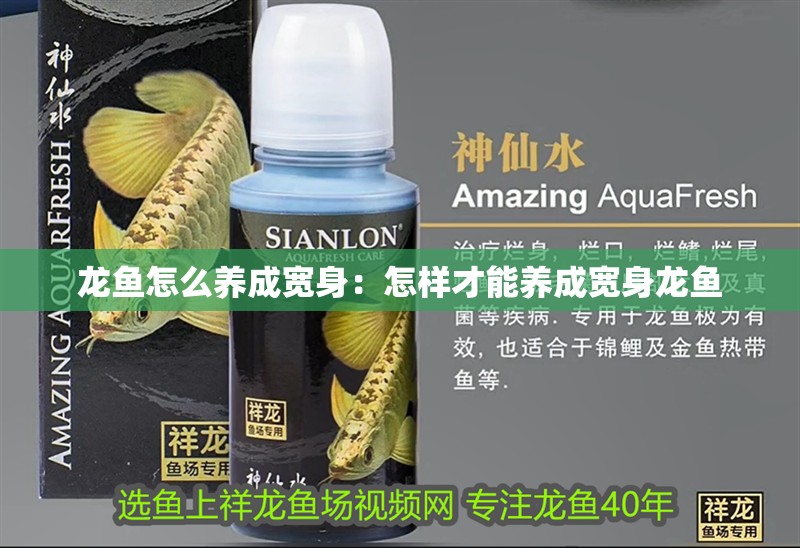 龍魚怎么養(yǎng)成寬身：怎樣才能養(yǎng)成寬身龍魚