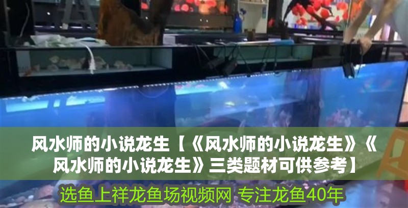 風(fēng)水師的小說龍生【《風(fēng)水師的小說龍生》《風(fēng)水師的小說龍生》三類題材可供參考】