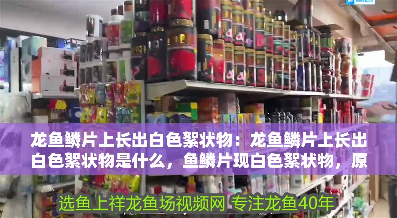 龍魚鱗片上長出白色絮狀物：龍魚鱗片上長出白色絮狀物是什么，魚鱗片現白色絮狀物，原因