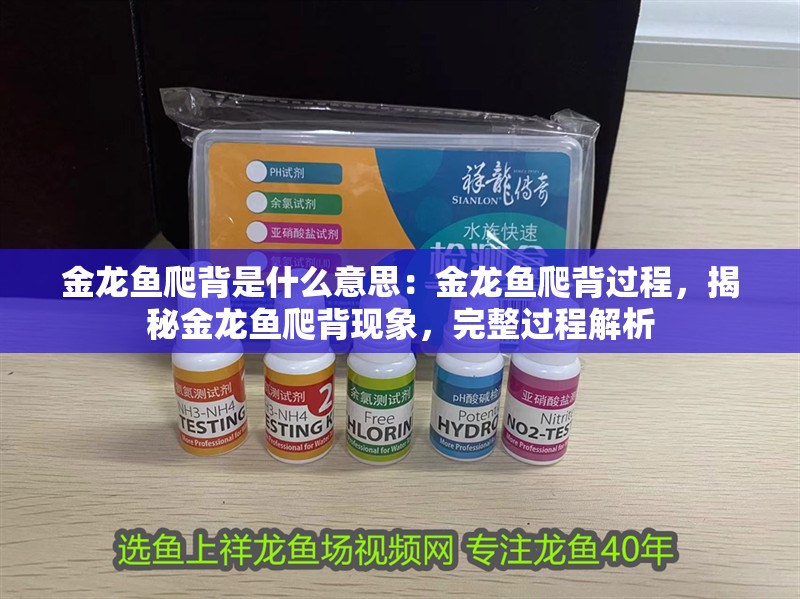 金龍魚爬背是什么意思：金龍魚爬背過程，揭秘金龍魚爬背現象，完整過程解析