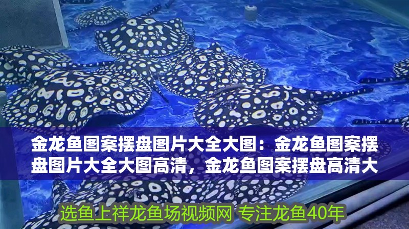 金龍魚圖案擺盤圖片大全大圖：金龍魚圖案擺盤圖片大全大圖高清，金龍魚圖案擺盤高清大圖
