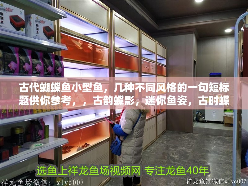 古代蝴蝶魚小型魚,幾種不同風格的一句短標題供你參考,,古韻蝶影,迷你魚姿,古時蝶趣,嬌小靈魚,古風蝶漾 全國水族館企業名錄 古代蝴蝶魚小型魚,幾種不同風格的一句短標題供你參考,,古韻蝶影,迷你魚姿,古時蝶趣,嬌小靈魚,古風蝶漾 古代蝴蝶魚小型魚,幾種不同風格的一句短標題供你參考,,古韻蝶影,迷你魚姿,古時蝶趣,嬌小靈魚,古風蝶漾 全國水族館企業名錄