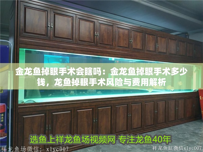 金龍魚掉眼手術會瞎嗎：金龍魚掉眼手術多少錢，龍魚掉眼手術風險與費用解析