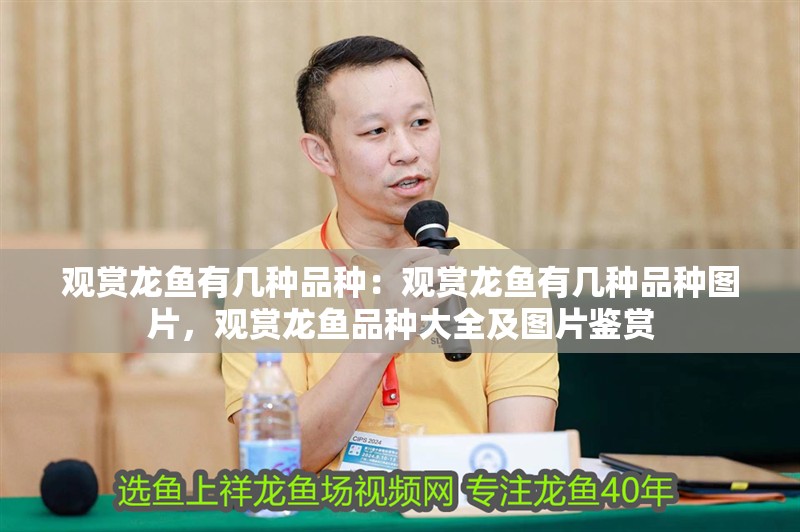 觀賞龍魚有幾種品種：觀賞龍魚有幾種品種圖片，觀賞龍魚品種大全及圖片鑒賞