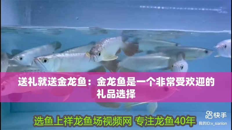 送禮就送金龍魚：金龍魚是一個非常受歡迎的禮品選擇
