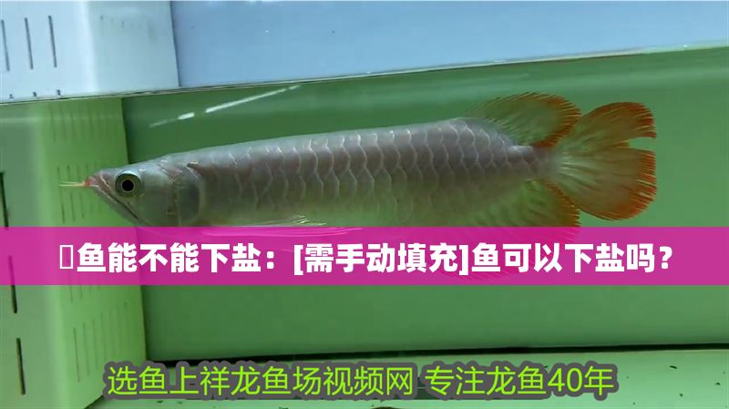 魟魚能不能下鹽：[需手動填充]魚可以下鹽嗎？ 魟魚能不能下鹽：[需手動填充]魚可以下鹽嗎？ 魟魚百科 第2張