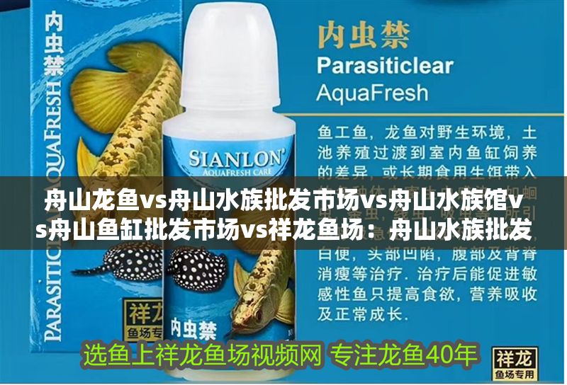 舟山龍魚vs舟山水族批發市場vs舟山水族館vs舟山魚缸批發市場vs祥龍魚場：舟山水族批發市場