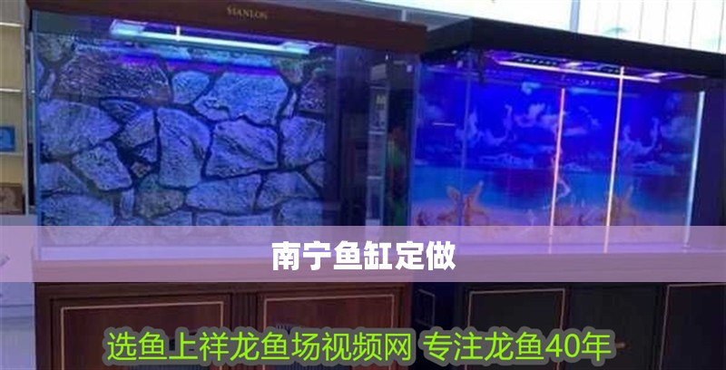 南寧魚(yú)缸定做