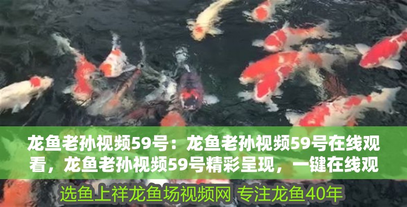 龍魚老孫視頻59號：龍魚老孫視頻59號在線觀看，龍魚老孫視頻59號精彩呈現，一鍵在線觀看 龍魚老孫視頻59號：龍魚老孫視頻59號在線觀看，龍魚老孫視頻59號精彩呈現，一鍵在線觀看 水族問答