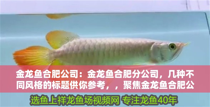 金龍魚<strong><mark>合肥</mark></strong>公司：金龍魚<strong><mark>合肥</mark></strong>分公司，幾種不同風(fēng)格的標(biāo)題供你參考，，聚焦金龍魚<strong><mark>合肥</mark></strong>公司，分公司風(fēng)采盡顯，走進(jìn)金龍魚<strong><mark>合肥</mark></strong>分公司，洞察企業(yè)新動態(tài)，金龍魚布局<strong><mark>合肥</mark></strong>，分公司開啟
