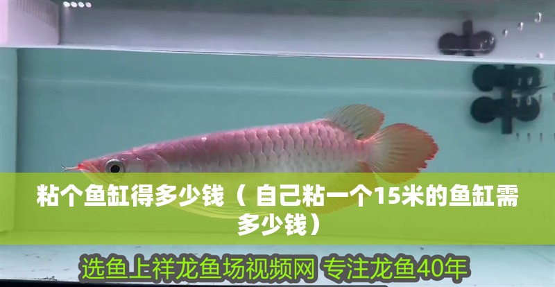 粘個魚缸得多少錢（ 自己粘一個15米的魚缸需多少錢）