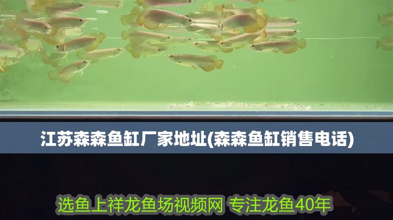 江蘇森森魚缸廠家地址(森森魚缸銷售電話)