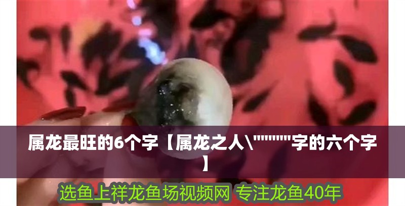 屬龍最旺的6個字【屬龍之人\