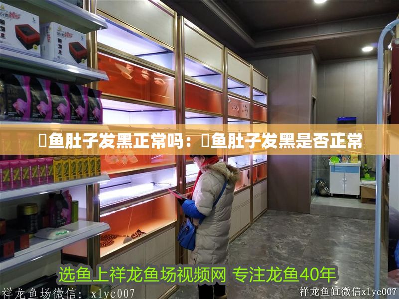 魟魚肚子發黑正常嗎：魟魚肚子發黑是否正常
